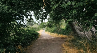 The Road After Failing Boards: Reflections of a Retester